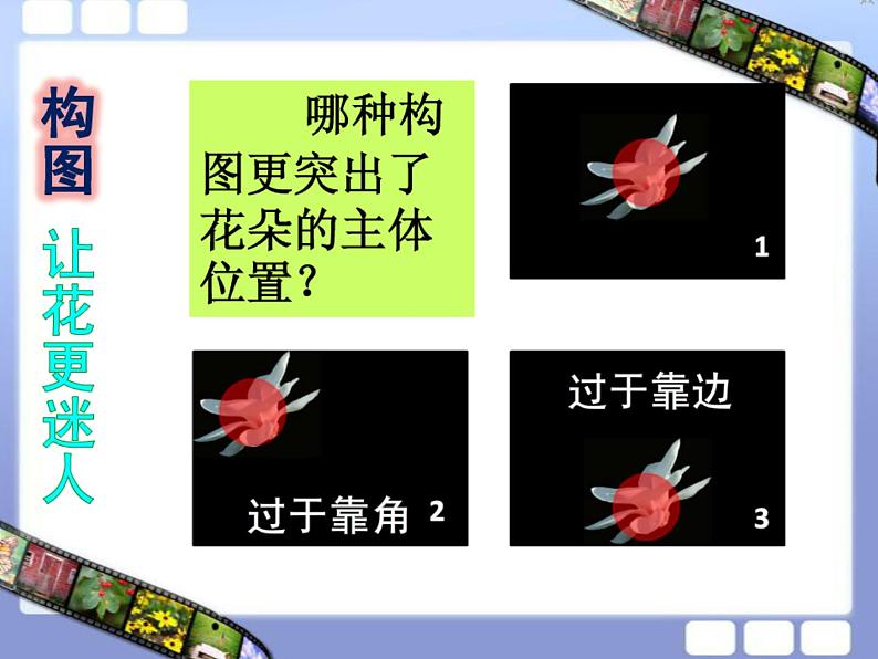 第十一课　镜头里的花 课件+教案05