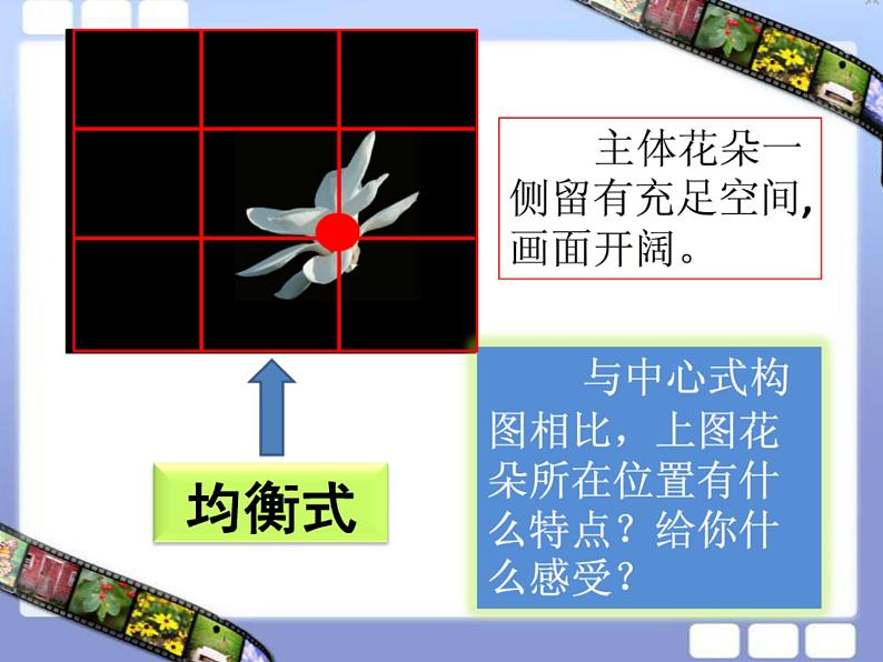 第十一课　镜头里的花 课件+教案07