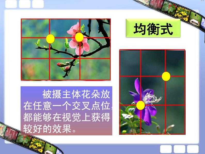 第十一课　镜头里的花 课件+教案08