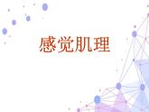 第10課 感覺肌理 課件+素材