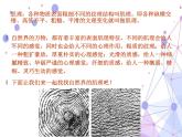 第10課 感覺肌理 課件+素材