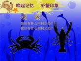 第13课 虾和蟹（一） 课件+素材