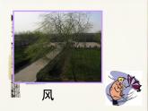 第15課 自然現(xiàn)象 課件+素材