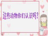 第9課 動物明星（一） 課件+素材
