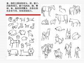 第12課 動(dòng)物裝飾畫 課件+素材