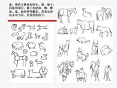 第12课 动物装饰画 课件+素材