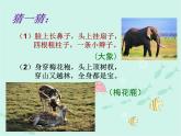 第13課 我的動(dòng)物朋友 課件+素材