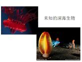 第7課 海洋怪獸 課件+素材