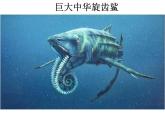 第7課 海洋怪獸 課件+素材