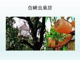 第13課 我造的小房子 課件+素材