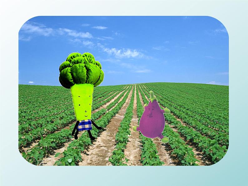 美术六年级上苏少版：2 蔬菜PPT课件03