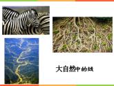 美術(shù)三年級(jí)上冀美版5.繪畫(huà)作品中的線課件