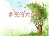 美術(shù)三年級(jí)上冀美版13.多變的大自然課件