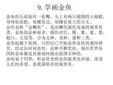 9.学画金鱼课件