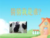 二年級上冊美術(shù)：第6課 花花衣課件PPT
