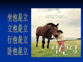 二年級(jí)上冊美術(shù)：第15課 我和馬兒在一起 課件PPT