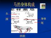 二年級(jí)上冊美術(shù)：第15課 我和馬兒在一起 課件PPT