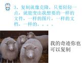 二年級(jí)上冊(cè)美術(shù)：第18課 電腦美術(shù)——復(fù)制粘貼真神奇 課件PPT