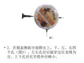 三年級(jí)上冊(cè)美術(shù)：第17課　會(huì)響的玩具課件
