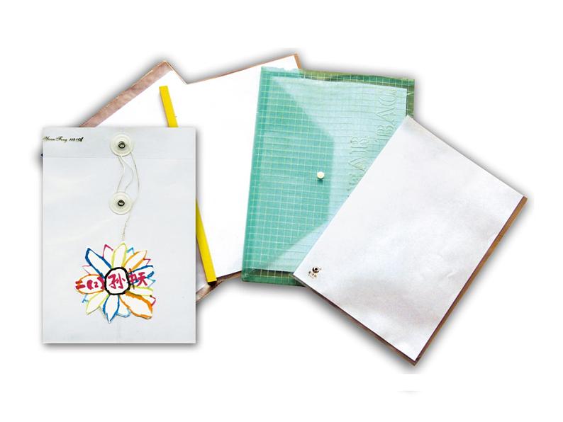 美术五年级上人教版：18美术学习记录袋课件02