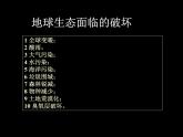 美術五年級上人教版：19愛護家園課件