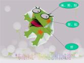 11 “东西南北” 课件+教案