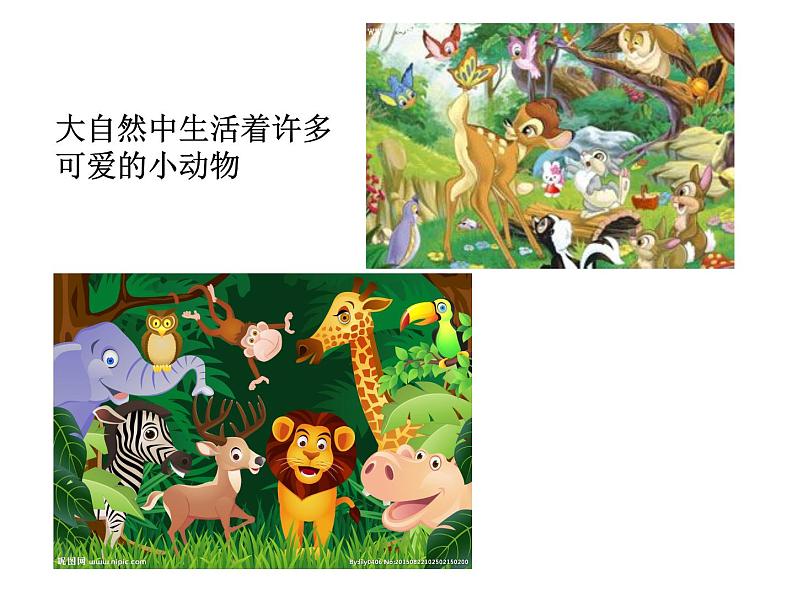 第4课 动物的花衣裳 课件+教案02