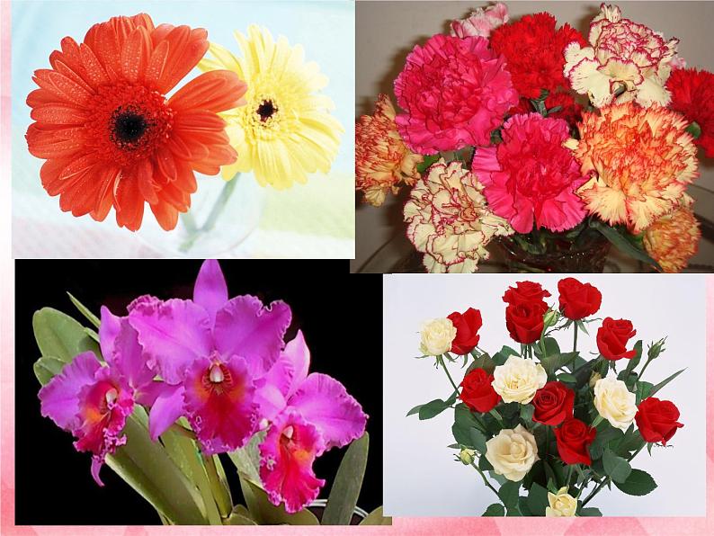 第6课 送给老师的爱 课件+教案03