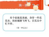 可爱的小虫 课件 +素材