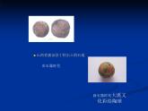 我的文具伙伴  課件+教案+素材
