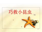 巧救小昆蟲 課件+教案+素材