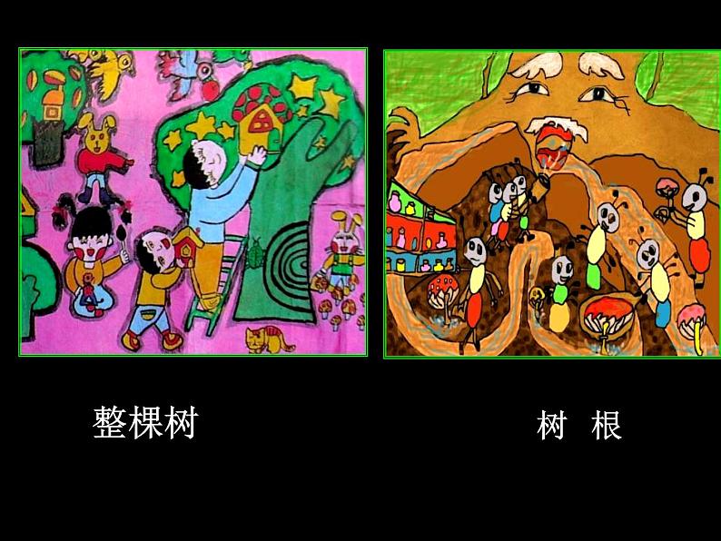 给树爷爷画像 课件+教案+素材02