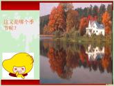 茂密的山林 課件+教案+素材