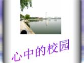 心中的校園 課件+教案+蔬菜