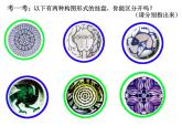 漂亮的掛盤 課件+教案+素材