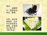 蔬菜造型 课件+教案+素材