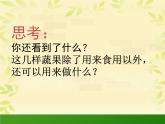 蔬菜造型 课件+教案+素材