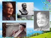 我的一天 課件+教案+素材
