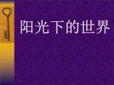 1. 陽光下的世界 課件 +素材