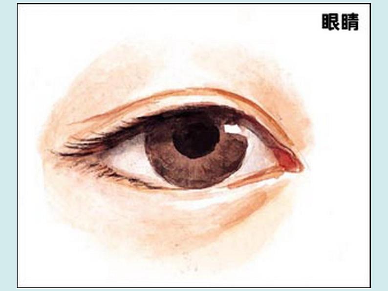 《童眼看世界》课件第6页