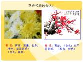 6. 印出美麗的瓶花 課件 +素材