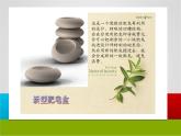 12. 環(huán)保小發(fā)明 課件 +素材
