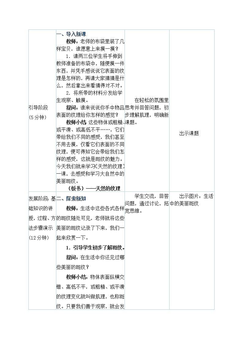 三年级上册美术教案 第9课《天然的纹理》人教新课标（2014秋）02