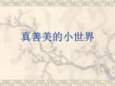 五年級下冊音樂課件 3 真善美的小世界 人音版（五線譜）