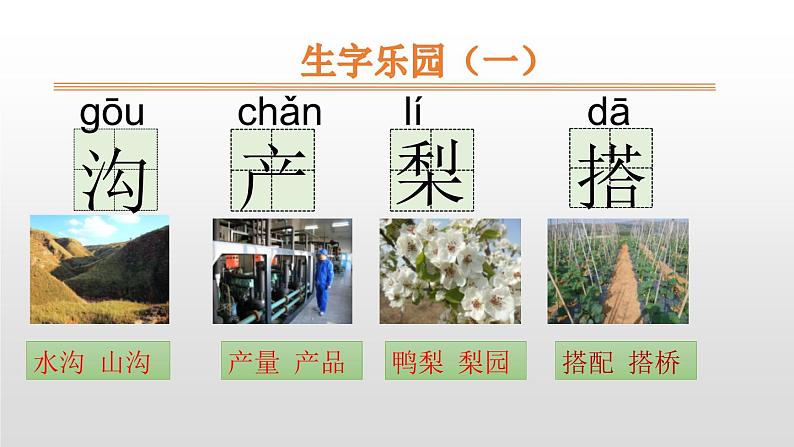 部编版二年级语文上册《葡萄沟》PPT课文课件 (1)第3页