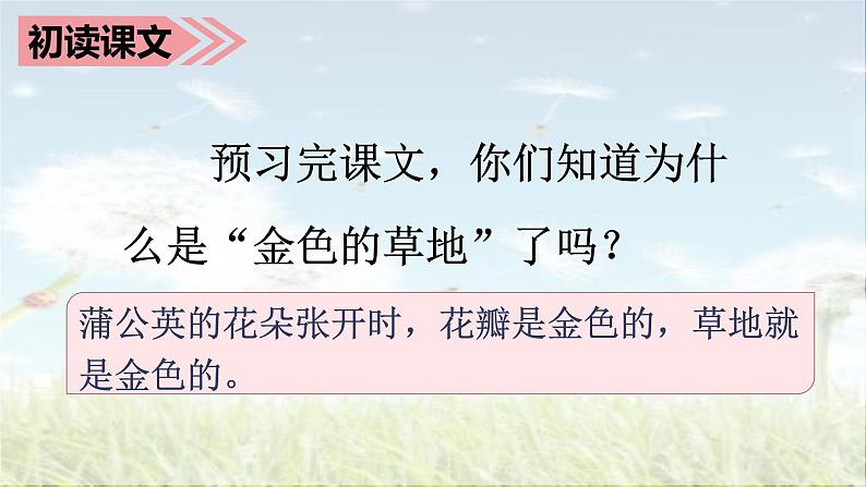 部编语文三上：16.金色的草地 精品PPT课件+素材06