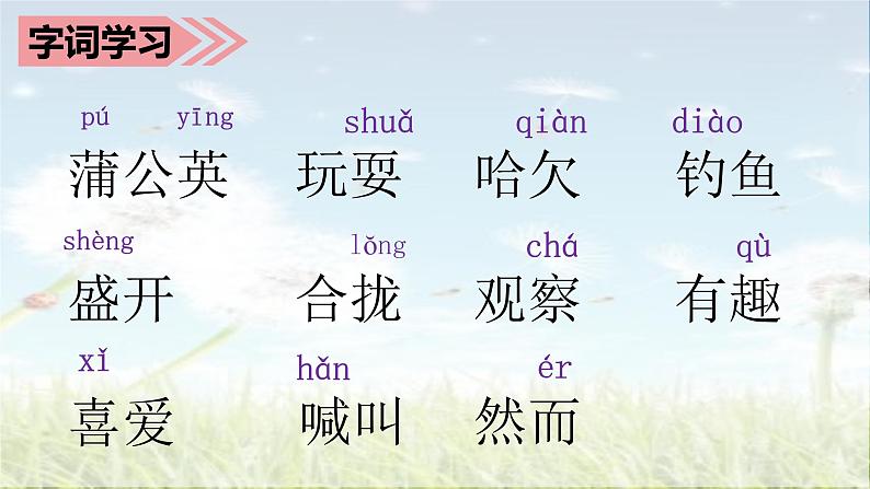 部编语文三上：16.金色的草地 精品PPT课件+素材07