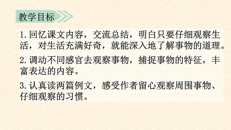 部编语文三上：第五单元 交流平台与习作例文（教学课件）04