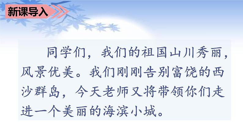 部编语文三上：19.海滨小城 精品PPT课件+素材01