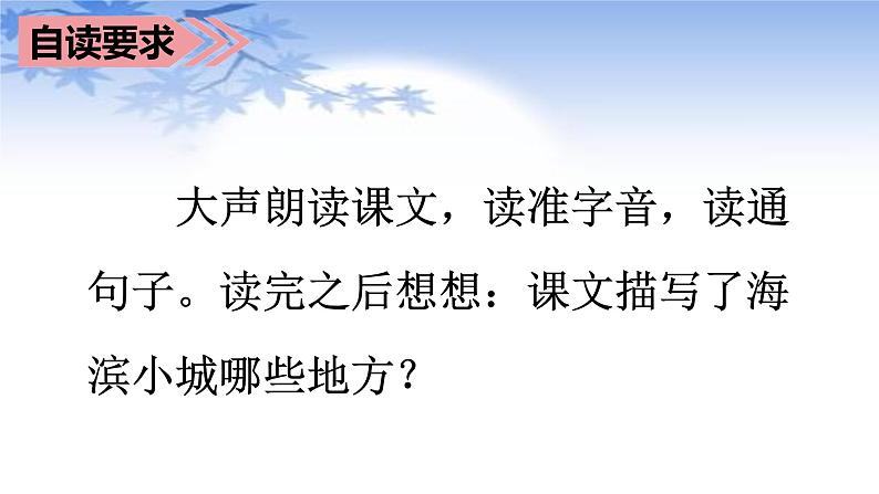 部编语文三上：19.海滨小城 精品PPT课件+素材06